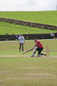 Giants_Cricket_Day_2013_-019.jpg